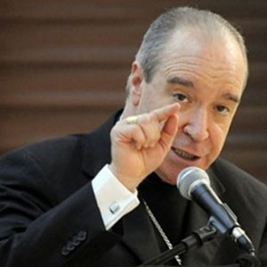 Cardenal: “La OEA no ha servido para mucho nunca y ahora menos”