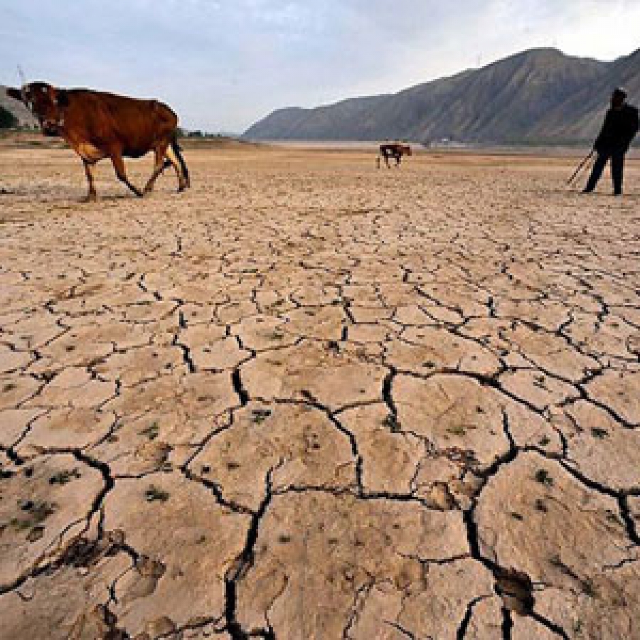 Productores del noroeste expresan preocupación por intensa sequía
