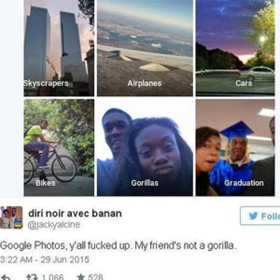 Google se disculpa por confundir foto de afroamericanos con gorilas