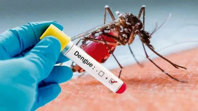 Se elevan a 46 las muertes por dengue en el país